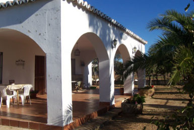 241 OPM 90 Zalamea 005 385x258 - Finca en el Valle de los Pedroches de 32 has