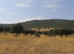 069 ORG 140 Este Badajoz (1)