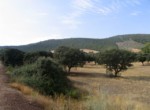 069 ORG 140 Este Badajoz