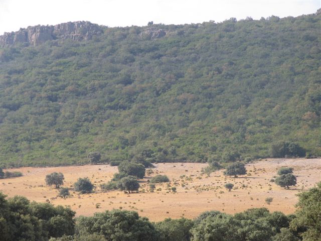 069 ORG 140 Este Badajoz 2 - Finca de 140 hectáreas de alcornocal, monte, caza y mucha agua