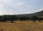 069 ORG 140 Este Badajoz (3)