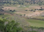 069 ORG 140 Este Badajoz (4)