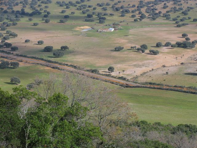 069 ORG 140 Este Badajoz 4 - Finca de 140 hectáreas de alcornocal, monte, caza y mucha agua