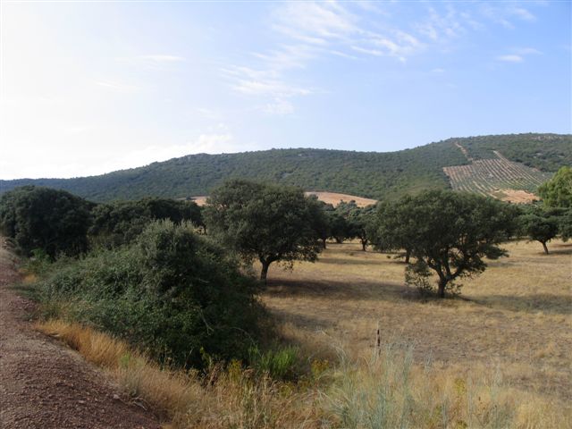 069 ORG 140 Este Badajoz - Finca de 140 hectáreas de alcornocal, monte, caza y mucha agua