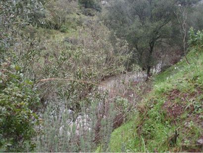 104 248 OPM 410 Cordoba3 - Finca rústica en la sierra de Córdoba de unas 410 hectáreas