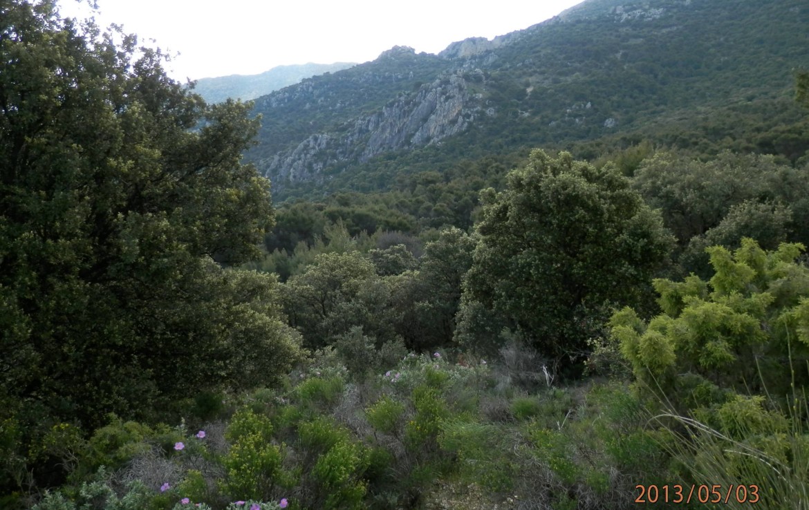 674 OPG 700 Jaén 3 1170x738 - Finca de 700 has, de recreo y caza muy próxima a Jaén