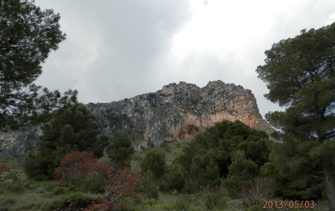 674 OPG 700 Jaén 4 1170x738 - Finca de 700 has, de recreo y caza muy próxima a Jaén