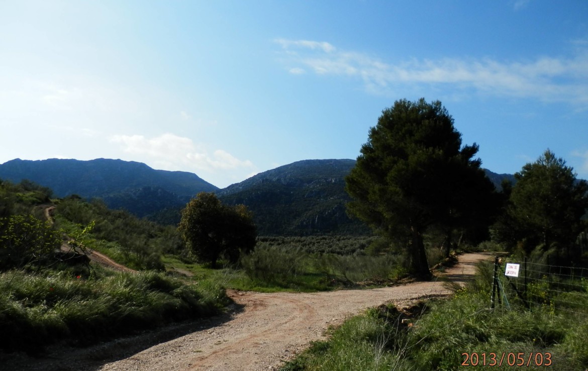 674 OPG 700 Jaén 6 1170x738 - Finca de 700 has, de recreo y caza muy próxima a Jaén