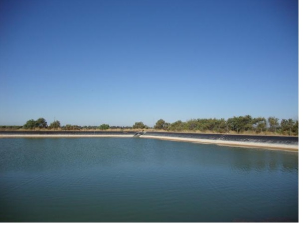 730 5 - Finca de regadío de 55 hectáreas en Carmona
