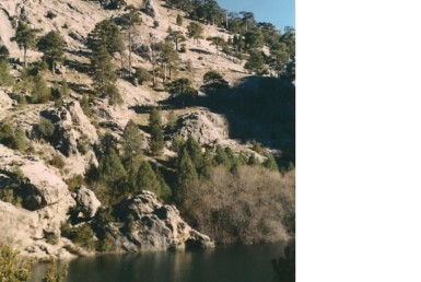 880 9 385x258 - Finca de 600 hectáreas en Cazorla (Jaén) de recreo con pastos para ganado, mucha agua y caza