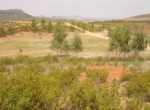 254 OPP, Fincas Rústicas SurOeste (1)