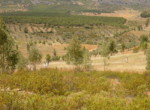 254 OPP, Fincas Rústicas SurOeste