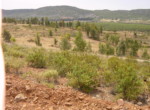 254 OPP, Fincas Rústicas SurOeste (3)