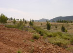 254 OPP, Fincas Rústicas SurOeste (4)