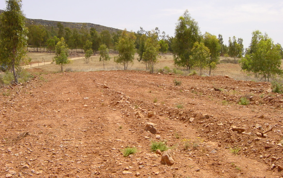 254 OPP Fincas Rústicas SurOeste 5 1170x738 - Finca de 7 has cerca de la Zarza, en los Balancines