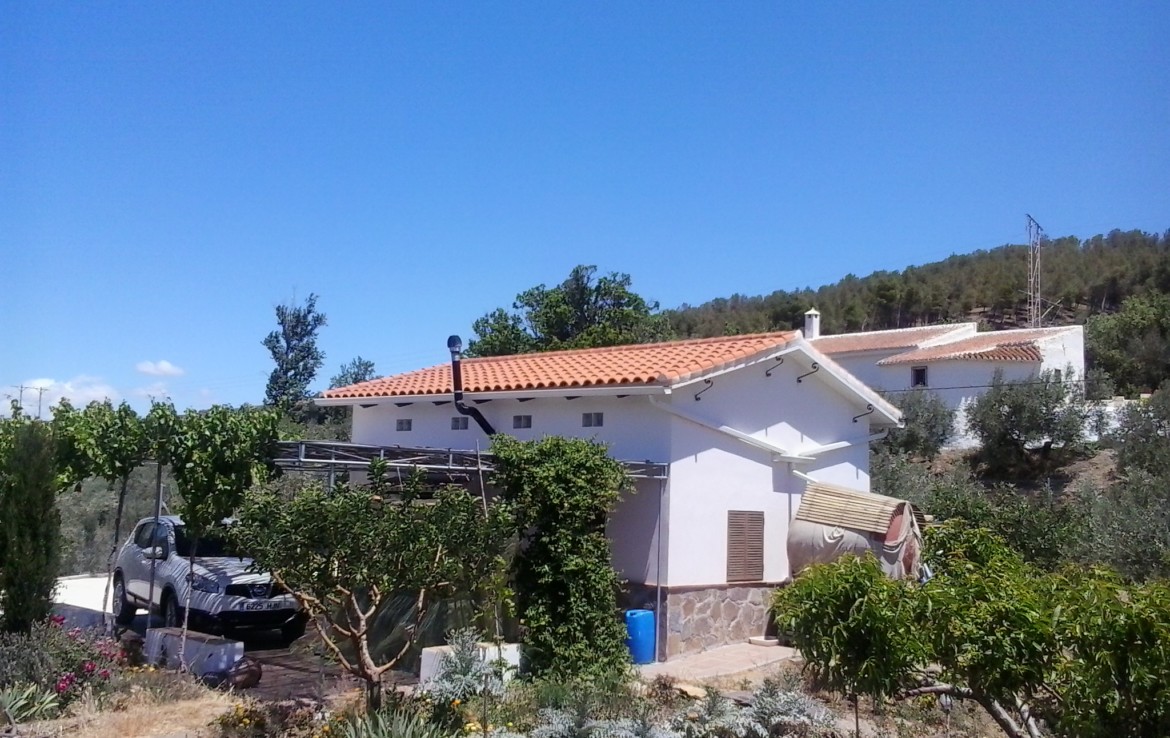 942 OPC 1170x738 - Parcela en Alcudia de Guadix de 4.800m2, con casa de 35m2
