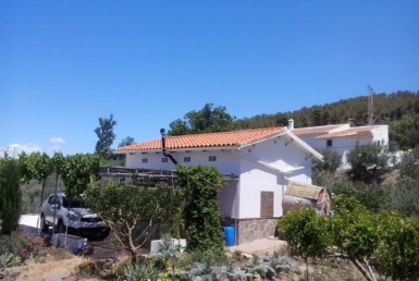 942 OPC 385x258 - Parcela en Alcudia de Guadix de 4.800m2, con casa de 35m2