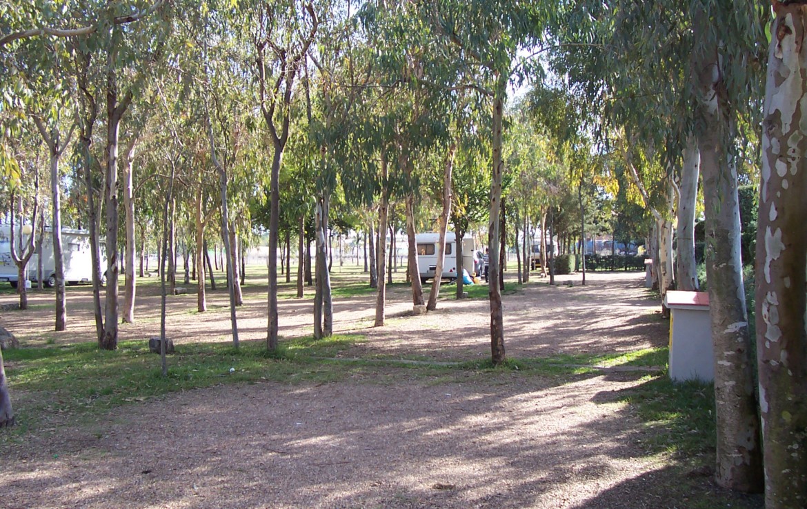 095 OPP Fincas Rústicas SurOEste 1 1170x738 - Camping a pleno rendimiento en Mérida, con 13 bungalow, instalaciones con todos los servicios