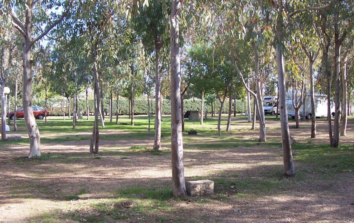 095 OPP Fincas Rústicas SurOEste 2 1170x738 - Camping a pleno rendimiento en Mérida, con 13 bungalow, instalaciones con todos los servicios