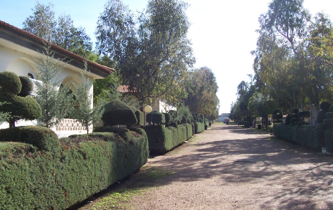 095 OPP Fincas Rústicas SurOEste 8 1170x738 - Camping a pleno rendimiento en Mérida, con 13 bungalow, instalaciones con todos los servicios