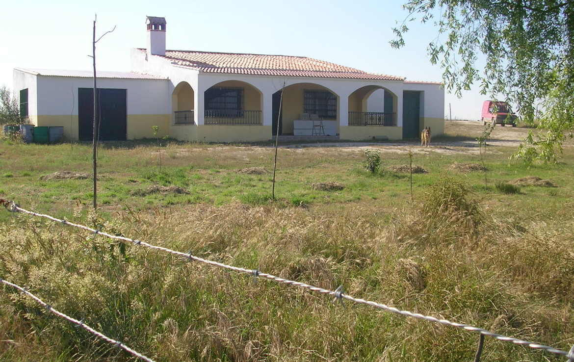 096 OPP Fincas Rústicas SurOeste 1170x738 - Finca 31 has muy cerca de Cáceres toda cercada con mucha agua