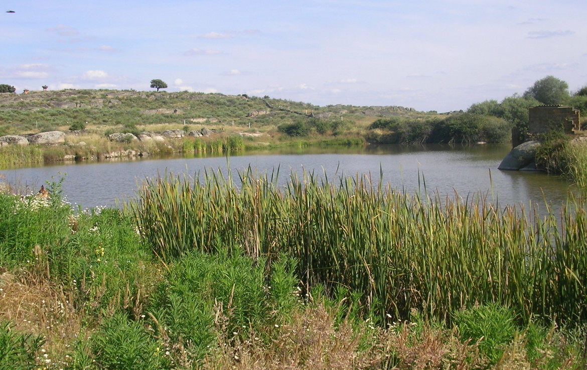 096 OPP Fincas Rústicas SurOeste 2 1170x738 - Finca 31 has muy cerca de Cáceres toda cercada con mucha agua