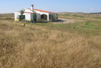 096 OPP Fincas Rústicas SurOeste 3 385x258 - Finca 31 has muy cerca de Cáceres toda cercada con mucha agua