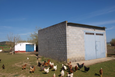 1019 OPP Fincas Rústicas SurOeste 1 385x258 - Parcela de 10.000m2 con casa, piscina y pozos, en Valverde de Mérida