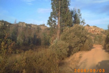 115 OPP 50 Zalamea 1 385x258 - Finca de 50 has de recreo y caza zona de Zalamea de la Serena