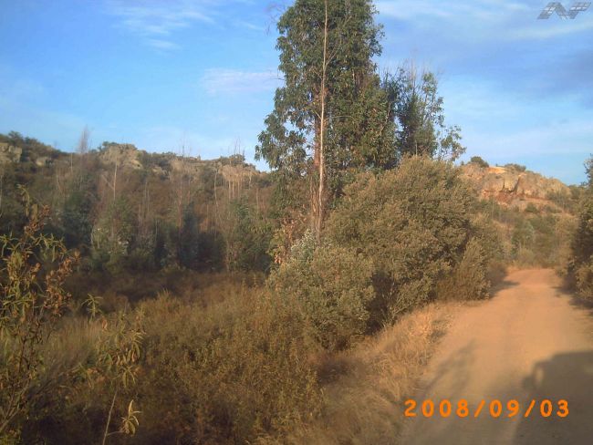 115 OPP 50 Zalamea 1 - Finca de 50 has de recreo y caza zona de Zalamea de la Serena