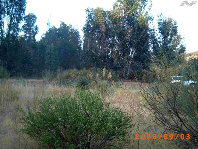 115 OPP 50 Zalamea 2 - Finca de 50 has de recreo y caza zona de Zalamea de la Serena
