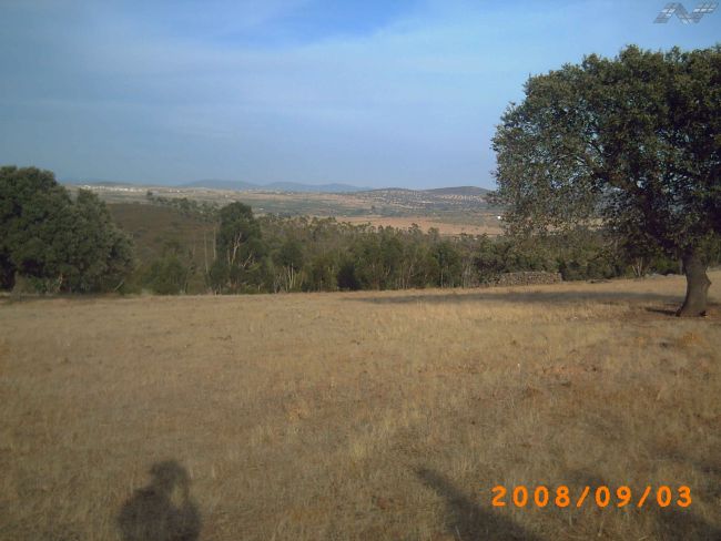 115 OPP 50 Zalamea 5 - Finca de 50 has de recreo y caza zona de Zalamea de la Serena