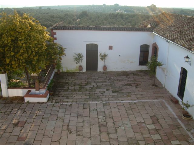 235 OPP Fincas Rústicas SurOeste 2 - Finca de 16 has de olivos a 55 km de Córdoba