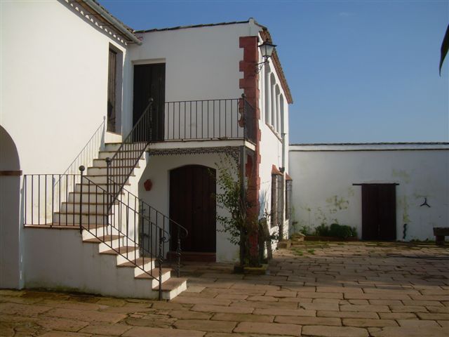 235 OPP Fincas Rústicas SurOeste 6 - Finca de 16 has de olivos a 55 km de Córdoba