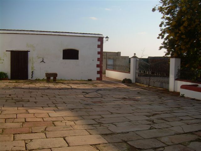 235 OPP Fincas Rústicas SurOeste - Finca de 16 has de olivos a 55 km de Córdoba