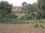 287 OPP, Fincas Rústicas SurOeste (1)