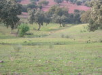 287 OPP, Fincas Rústicas SurOeste