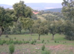 287 OPP, Fincas Rústicas SurOeste (2)