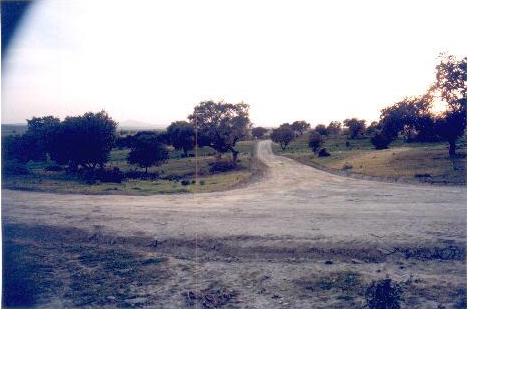 311 OPC Fincas Rústicas SurOeste 1 - Vendo parcela de 10.000 metros, Mérida