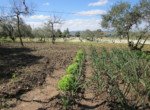 326 OPC, Fincas Rústicas SurOeste (6)