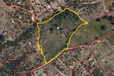 331 OPC Fincas Rústicas SurOeste  385x258 - Parcela de 16.000 m2 en el Valle del Jerte