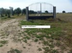 344 OPP, Fincas Rústicas SurOeste (3)
