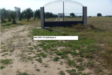 344 OPP Fincas Rústicas SurOeste 3 385x258 - Finca de 13 has en Quintana de la Serena, llana