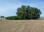 344 OPP, Fincas Rústicas SurOeste (4)