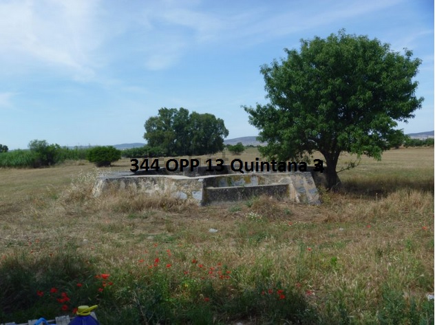 344 OPP Fincas Rústicas SurOeste - Finca de 13 has en Quintana de la Serena, llana