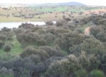 345 OPP, Fincas Rústicas SurOeste (1)