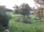 345 OPP, Fincas Rústicas SurOeste
