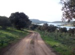 345 OPP, Fincas Rústicas SurOeste (4)