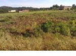 398 OPP, Fincas Rústicas SurOeste