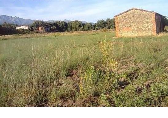 398 OPP Fincas Rústicas SurOeste 3 - Finca de regadío de 13.500 m2 en Villanueva de la Vera